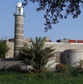 جامع السوق رصد