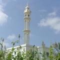مسجد حبيل الغشوة