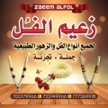 زعيم الفل والزهور