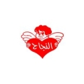 شركة النجاح للايسكريم والمرطبات