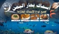 أسماك بحار اليمن