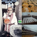 أبو أيوب لأجود انواع العسل الحضرمي