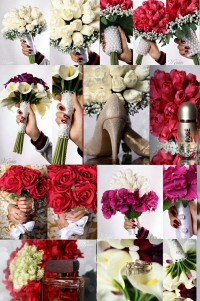 جي جي فلور - Gege Flower