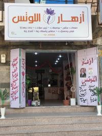 أزهار اللوتس